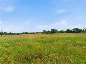215 County Road 225 - Photo 2