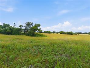 215 County Road 225 - Photo 6
