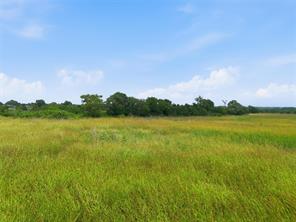 215 County Road 225 - Photo 8