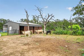 1017 County Road 3555 - Photo 33