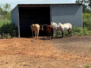 1017 County Road 3555 - Photo 35