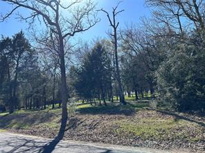 TBD SHENANDOAH Drive - Photo 10