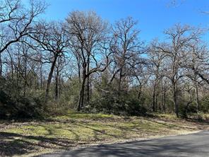 TBD SHENANDOAH Drive - Photo 11