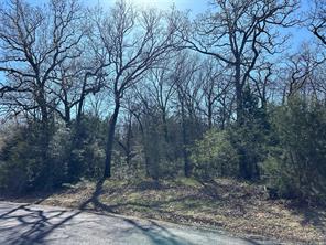 TBD SHENANDOAH Drive - Photo 12