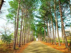 TBD SHENANDOAH Drive - Photo 3
