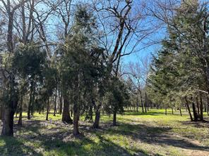 TBD SHENANDOAH Drive - Photo 8