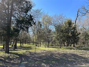 TBD SHENANDOAH Drive - Photo 9