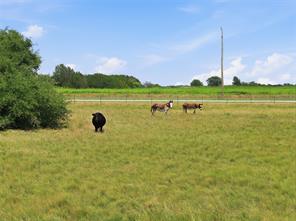 5835 N Fm 1744 - Photo 19