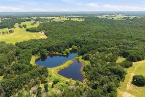 5835 N Fm 1744 - Photo 4