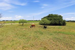 5835 N Fm 1744 - Photo 7