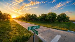 2537 Buckskin Drive - Photo 3