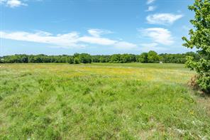 Lot 1 State Hwy 19 & RS CR 1150 - Photo 13