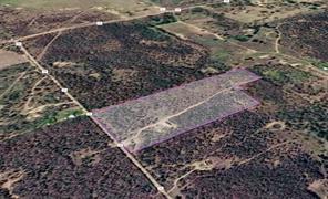 11210 County Road 137 - Photo 1