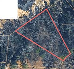 16068 Squirrell Hollow - Photo 1