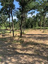 2 Lots Cimmarron Trail - Photo 1