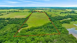 1285 FARM ROAD 196 - Photo 5