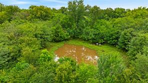 1285 FARM ROAD 196 - Photo 7