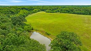 1285 FARM ROAD 196 - Photo 9