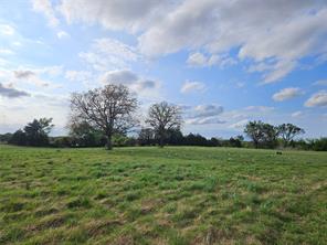 10224 Fm 1861 - Photo 19
