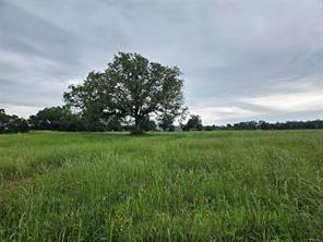 10224 Fm 1861 - Photo 20