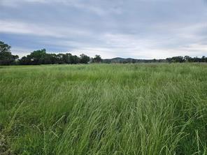 10224 Fm 1861 - Photo 24