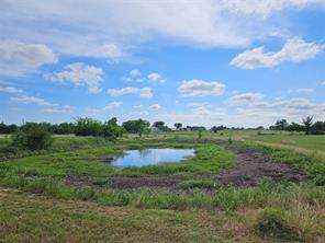 10224 Fm 1861 - Photo 7