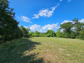 10224 Fm 1861 - Photo 8