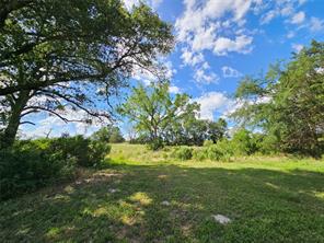 10224 Fm 1861 - Photo 9