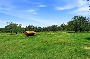 2186 Gilliland Road - Photo 11