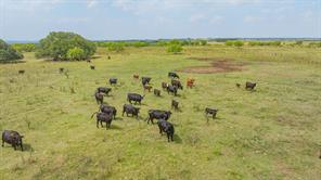 2901 Fm 1476 - Photo 4