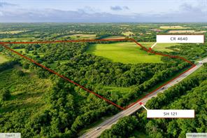 TBD 88.155 ACRES Tract 1 FM 121 - Photo 1