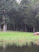 00 Striper Cove - Photo 13
