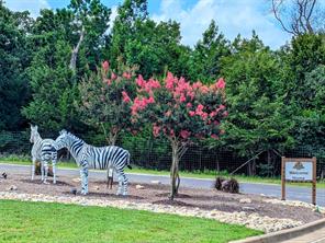 00 Striper Cove - Photo 18