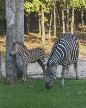 00 Striper Cove - Photo 20