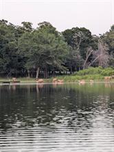 00 Striper Cove - Photo 25