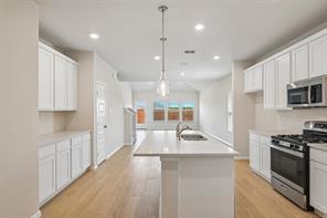 1275 Wild Cherry Way - Photo 3
