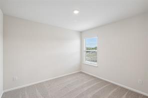 1275 Wild Cherry Way - Photo 30