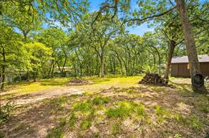 417 Shady Trail - Photo 22