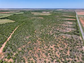 TBD Tract 11 FM 1812 - Photo 1