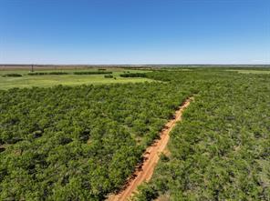 TBD Tract 11 FM 1812 - Photo 12