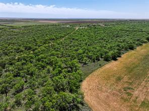 TBD Tract 11 FM 1812 - Photo 13