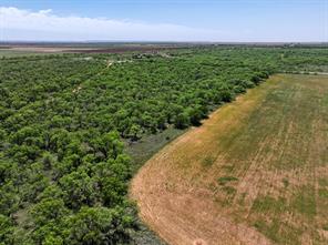 TBD Tract 11 FM 1812 - Photo 15