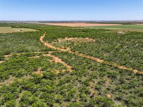 TBD Tract 11 FM 1812 - Photo 16