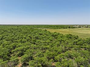 TBD Tract 11 FM 1812 - Photo 18