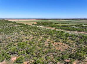 TBD Tract 11 FM 1812 - Photo 19