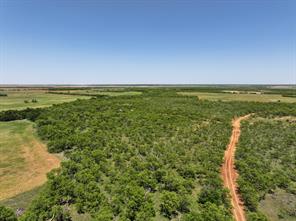 TBD Tract 11 FM 1812 - Photo 4