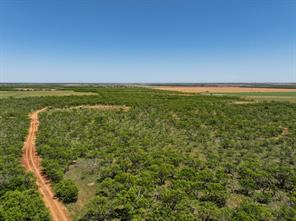 TBD Tract 11 FM 1812 - Photo 5