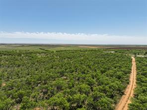TBD Tract 11 FM 1812 - Photo 6