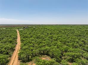 TBD Tract 11 FM 1812 - Photo 7