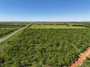 TBD Tract 11 FM 1812 - Photo 9